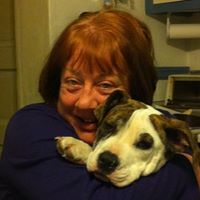 Joann Stewart Photo 9