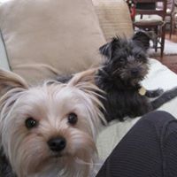 Julie Keefe Photo 5
