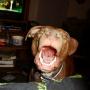 Gary Baker Photo 42
