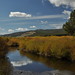 Roger Peterson Photo 48