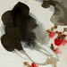 Chang Zhang Photo 13