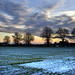 Kirk Fields Photo 9