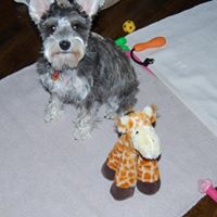 Betsy Henry Photo 4