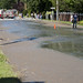 Lynn Waters Photo 15