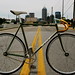 Shawn Wolf Photo 37