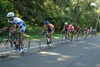 Christopher Griffin Photo 15