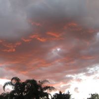 Yvette Simpson Photo 31