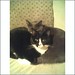 Angela Stanley Photo 45