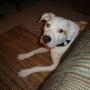 Brian Rouse Photo 35