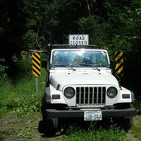 Susan Gipson Photo 3