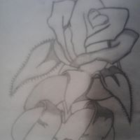 Jaime Serna Photo 22
