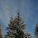 Larry Vail Photo 14