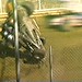 Randy Wolfe Photo 42