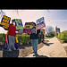 Travis Phelps Photo 20