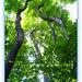 Cheryl Plumb Photo 9