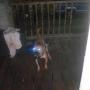 Timothy Lassiter Photo 17