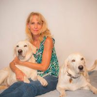 Carol Shelton Photo 33