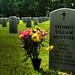 William Stephens Photo 19