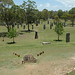 Glen Petit Photo 12