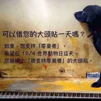 Yaling Chen Photo 23