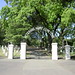 Edward Starck Photo 5