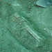 Amy Bone Photo 15
