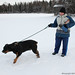 Robin Marchant Photo 12