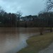 Ronald Coker Photo 12