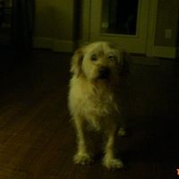 Fred Patrick Photo 18