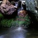 Sean Tripp Photo 16