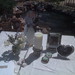 Peter Marin Photo 25