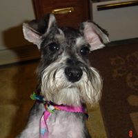 Ruth May Photo 9
