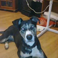 Debra Lilley Photo 5