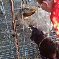 Betty Mcnamee Photo 8