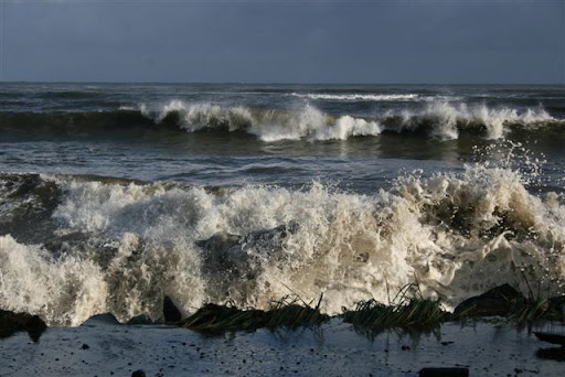 Nancy Carlson Photo 36