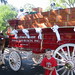 Kathryn Busch Photo 15