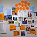 Sean Kang Photo 15