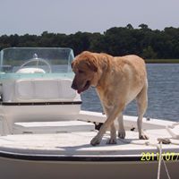 Christine Yoder Photo 16