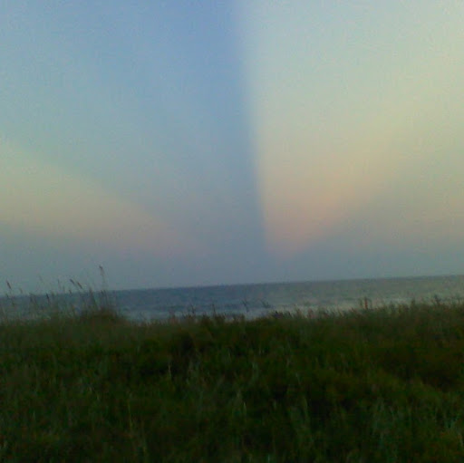 Laurie Poole Photo 19