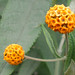 Joseph Hoppe Photo 15
