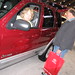 Dianne Ford Photo 21