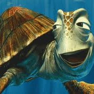 Steven Irwin Photo 12