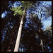 Deborah Muir Photo 16