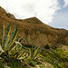 Santo Costa Photo 12