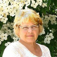 Sally Carpenter Photo 19