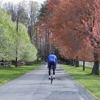 Mark Wuest Photo 16