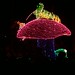 Alice Light Photo 7