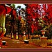 Ernesto Eco Photo 3
