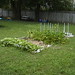 Susan Boggs Photo 41