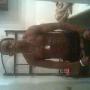 Darrell Owens Photo 31